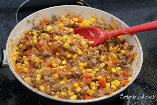 Camp Stew - A quick and easy one-pot meal - Cottontail Acres